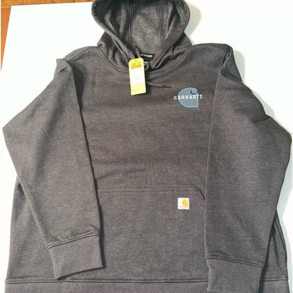 Carhartt Women's Rain Defender Relaxed Fit Graphic Hoodie Sweatshirt Gray 2X (L) - Picture 1 of 7